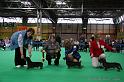 Crufts2011_2 959